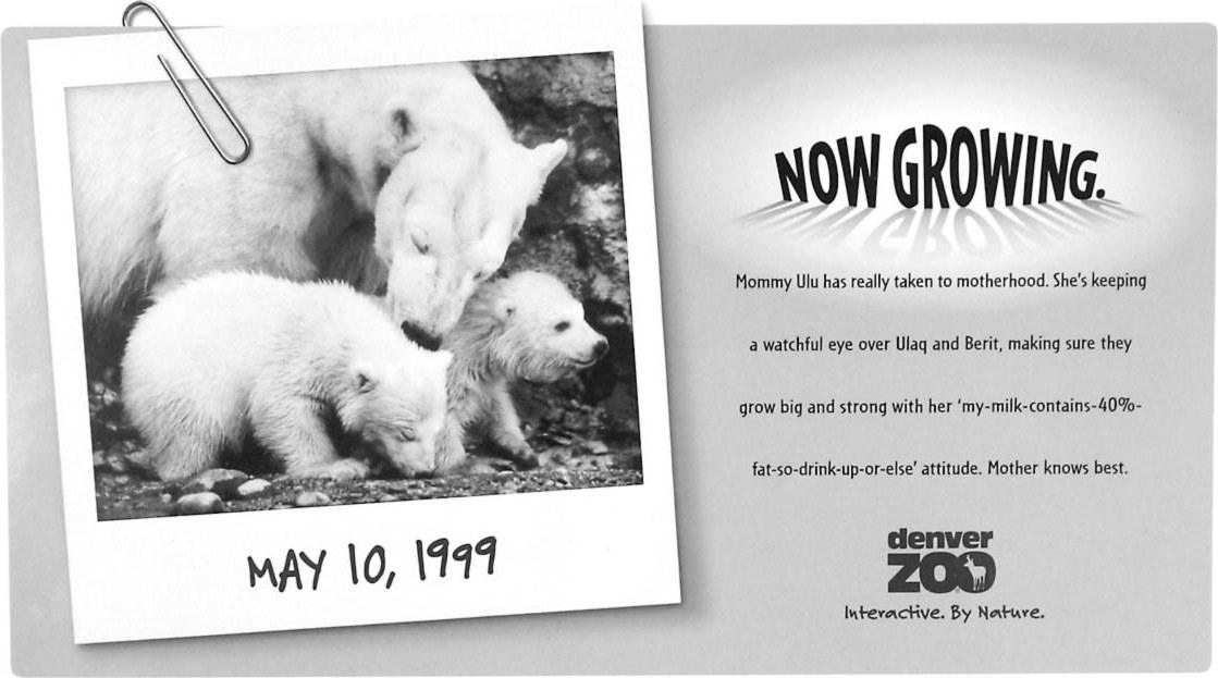 Denver Zoo · Thomas & Perkins