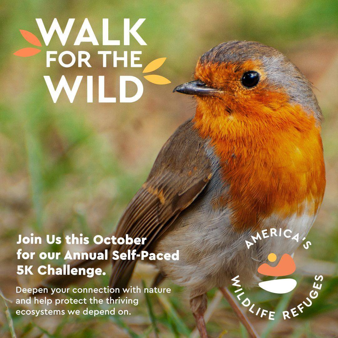 Walk for the Wild: ads for the refuges' annual 5K