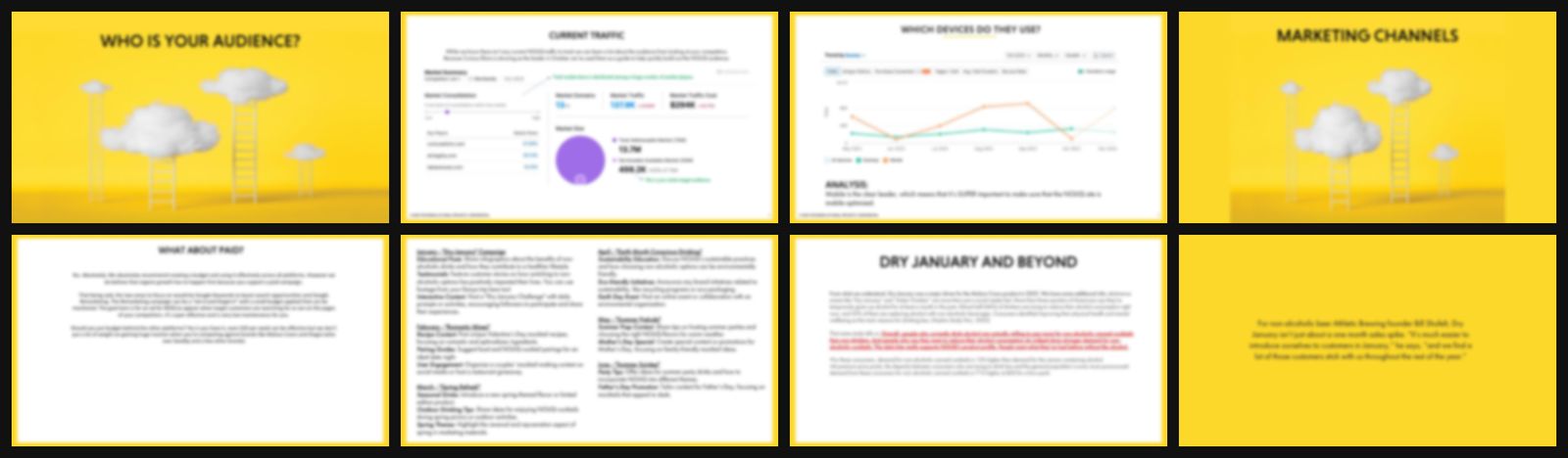 Inside the 42-page Brand Launch Toolkit (blurred to protect the client)